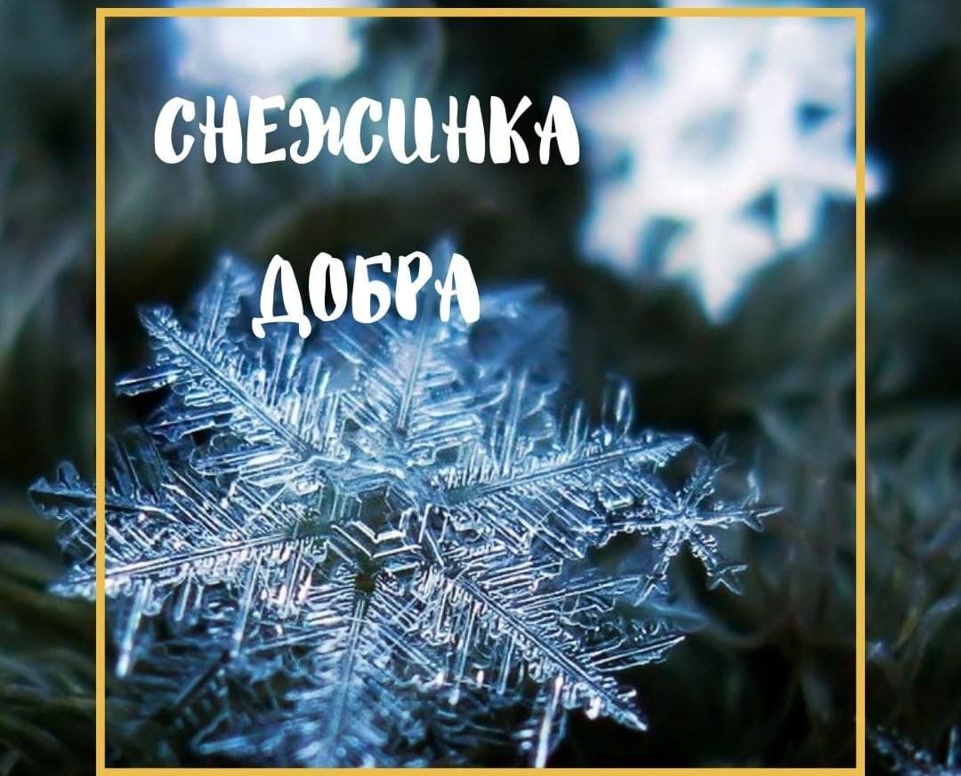 Подведение итогов благотворительной акции «Снежинка добра».